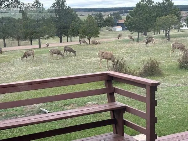 16735 High Tree DR, Elbert, CO 80106