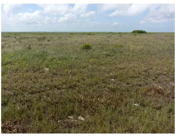 TBD County Road 257, Freeport, TX 77541