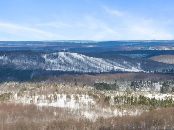 2370 Alden HWY, Custer Twp, MI 49659