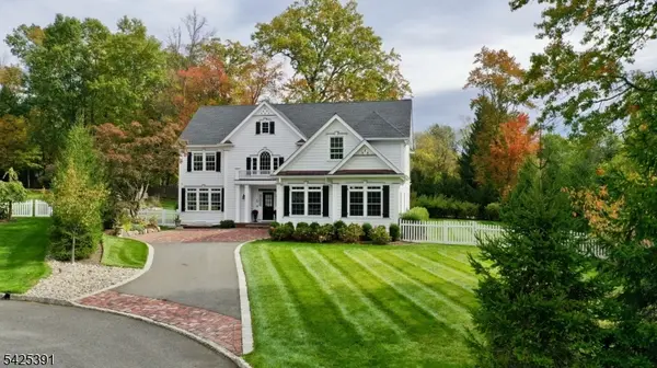 5 Meadow Ct, Madison Boro, NJ 07940