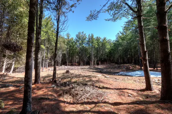 593 County 40 RD, Douro-dummer, ON K0L 2V0