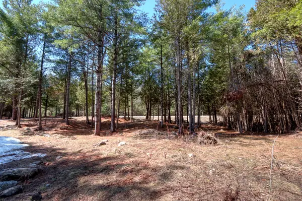 593 County 40 RD, Douro-dummer, ON K0L 2V0