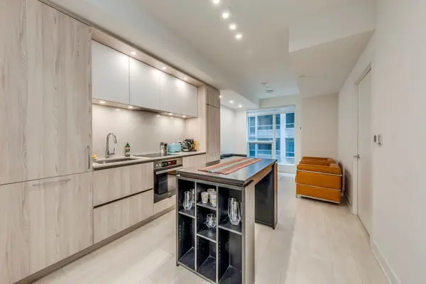15 MERCER ST #403 (Furnished), Toronto C01, ON M5V 1H2