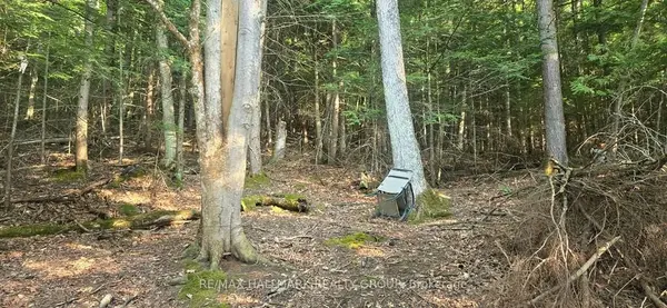 0 Madawaska River N/A, Mcnab/braeside, ON K0J 1G0