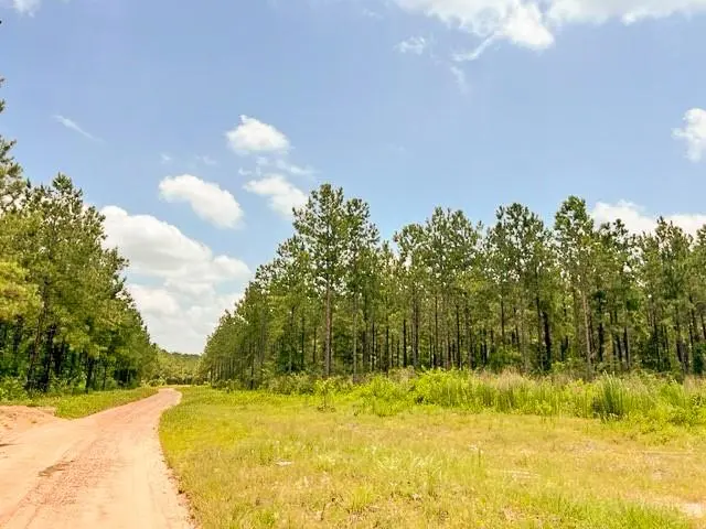 0 T-8 County Road 1425, Woodville, TX 75979