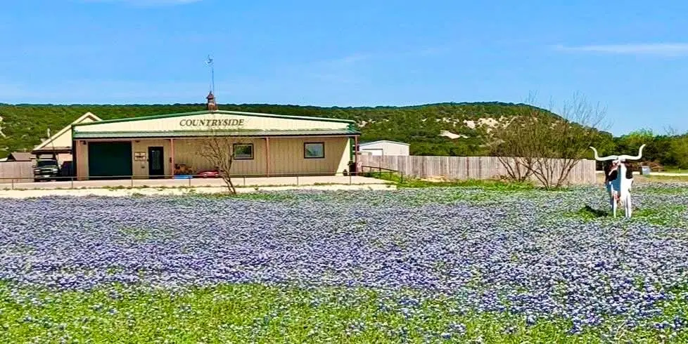 101 Cedar Gap Trail, Tuscola, TX 79562