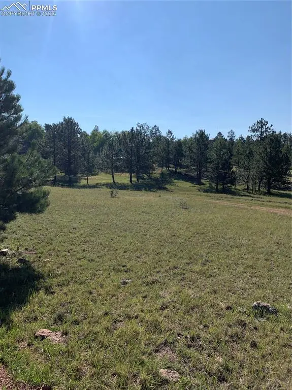 330 Arrowhead DR, Florissant, CO 80816