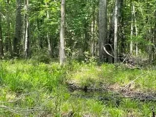 TBD 5 FM 1848, Buffalo, TX 75831