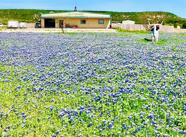 101 Cedar Gap Trail, Tuscola, TX 79562