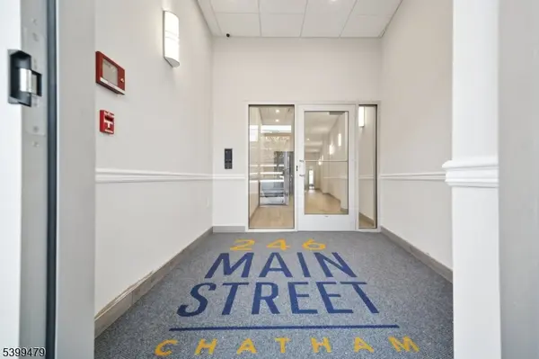 246 Main St #305, Chatham Boro, NJ 07928