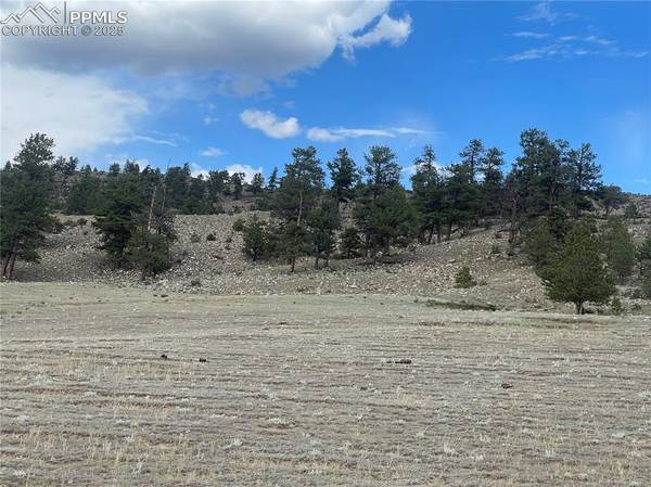 00 Lakeview DR, Hartsel, CO 80449