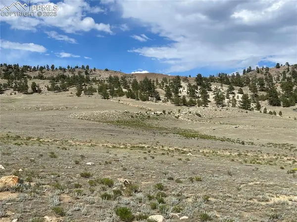 00 Lakeview DR, Hartsel, CO 80449