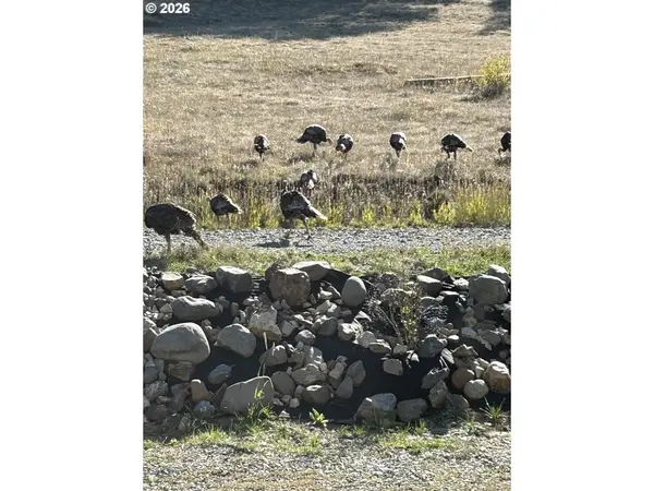 1575 McCann ST, Granite, OR 97877