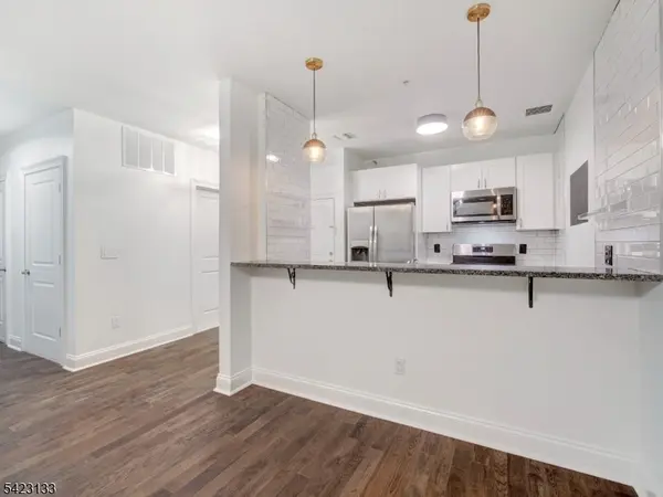 90 Clinton Ave #204, Newark City, NJ 07114