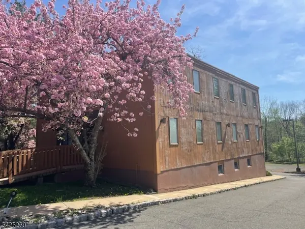 930 Mount Kemble Ave, Harding Twp., NJ 07960