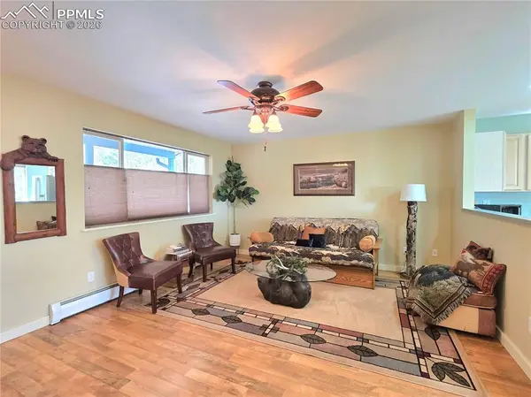 2063 Vagabond Creek DR, Lake George, CO 80827