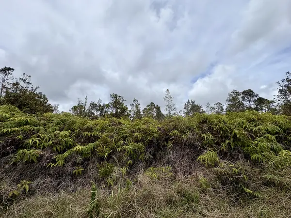 VOLCANO RD, Volcano, HI 96785