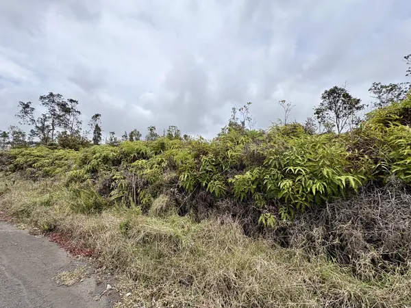 VOLCANO RD, Volcano, HI 96785