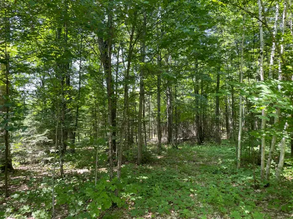 0 Glamor Lake RD, Highlands East, ON K0M 1R0