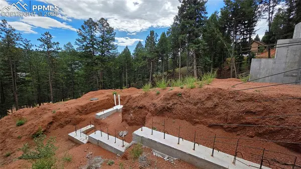 370 Summer Haven DR, Woodland Park, CO 80863