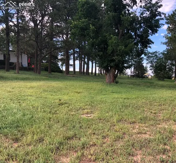 6597 S Highway 83, Franktown, CO 80116