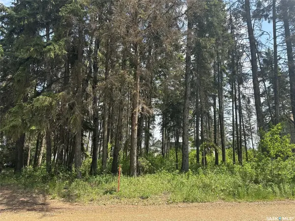 305 Spruce ROAD, Mervin Rm No.499, SK S0M 1J0