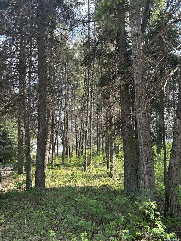 305 Spruce ROAD, Mervin Rm No.499, SK S0M 1J0