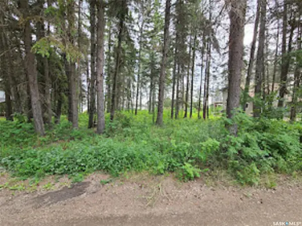 305 Spruce ROAD, Mervin Rm No.499, SK S0M 1J0