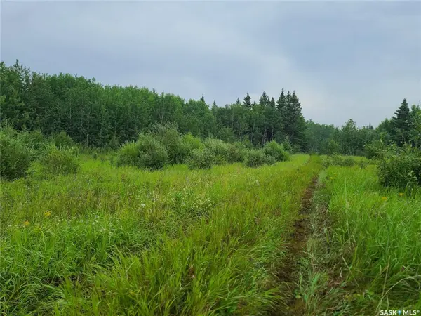 Rural Address, Mervin Rm No.499, SK S0M 2Y0