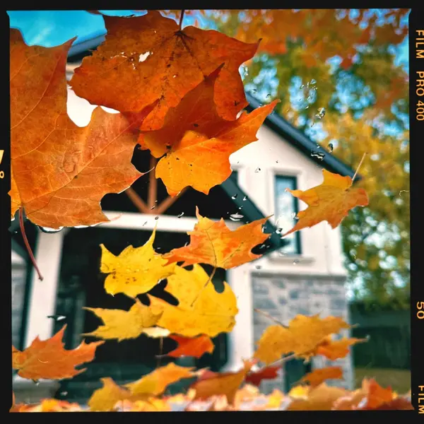 1525 Kenmuir AVE #7, Mississauga, ON L5G 4B6