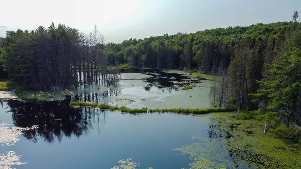 Lot 16 Grand Desert RD, Bonfield, ON P0H 1E0