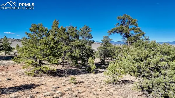 Lot 5103 Anasazi RD, Hartsel, CO 80449