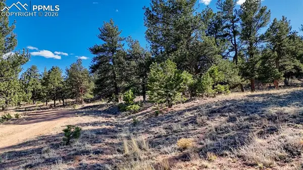 Lot 5124 Arikara TRL, Hartsel, CO 80449