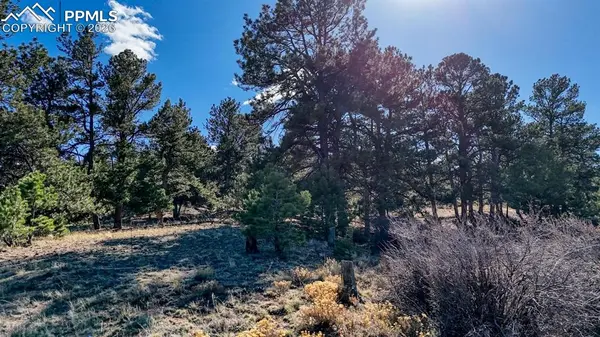 Lot 5124 Arikara TRL, Hartsel, CO 80449