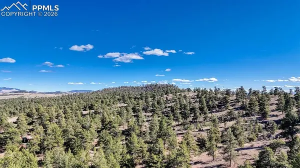 Lot 5124 Arikara TRL, Hartsel, CO 80449