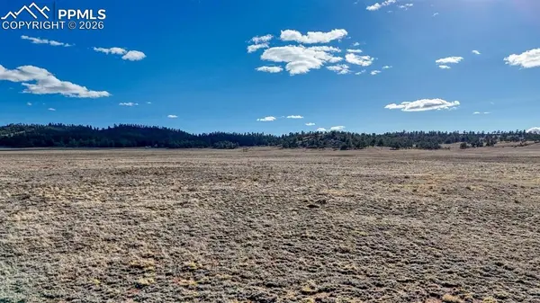 L5209 To-Ma-Kin CIR, Hartsel, CO 80449