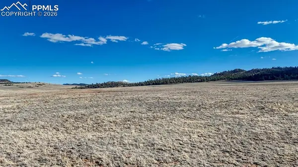 L5209 To-Ma-Kin CIR, Hartsel, CO 80449