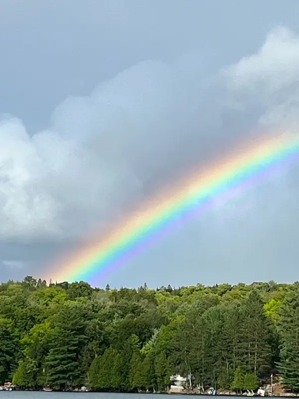 1433 South Horn Lk RD, Ryerson, ON P0A 1C0