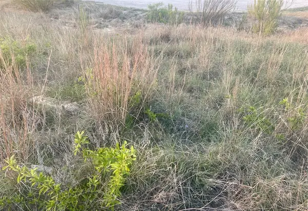 Lot616 Caprock Court, Possum Kingdom Lake, TX 76449