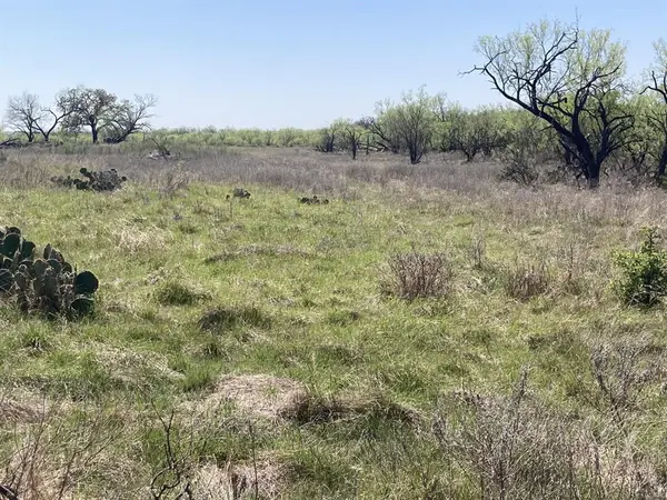 0000 Medlan Chapel Road, Graham, TX 76450