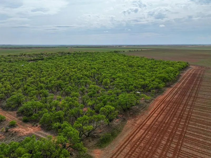 TBD Cr 134, Old Glory, TX 79540