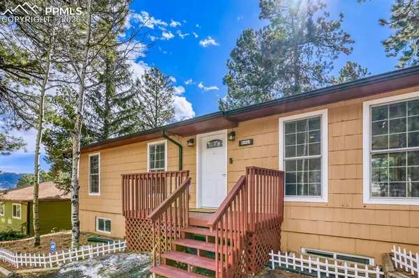 1005 W Browning AVE, Woodland Park, CO 80863