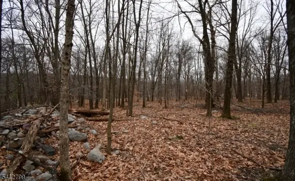 2 Brook Dr, Blairstown Twp., NJ 07825