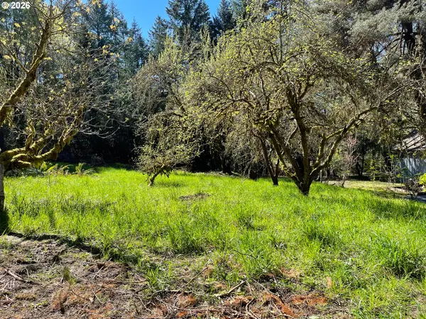 49640 NW SOUTH RD, Gaston, OR 97119