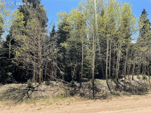 146 Gibson RD, Westcliffe, CO 81252