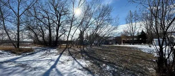 3 Oxford DR, Carbon, AB T0J 0L0