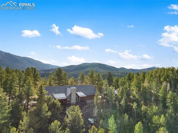 111 Blue Spruce RD, Divide, CO 80814