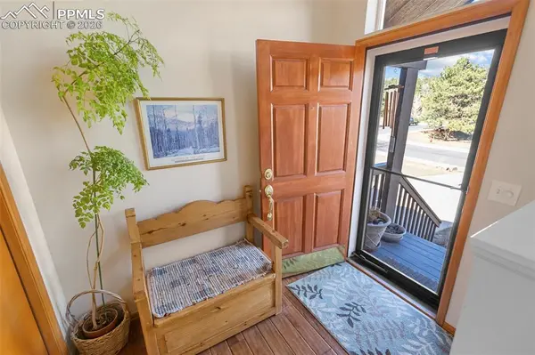 481 Black Bear TRL, Woodland Park, CO 80863