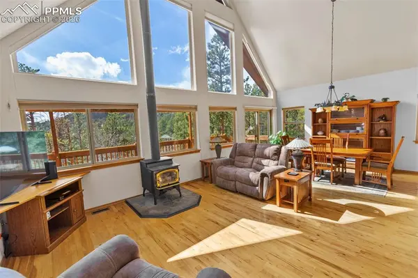 595 Bird Point RD, Florissant, CO 80816