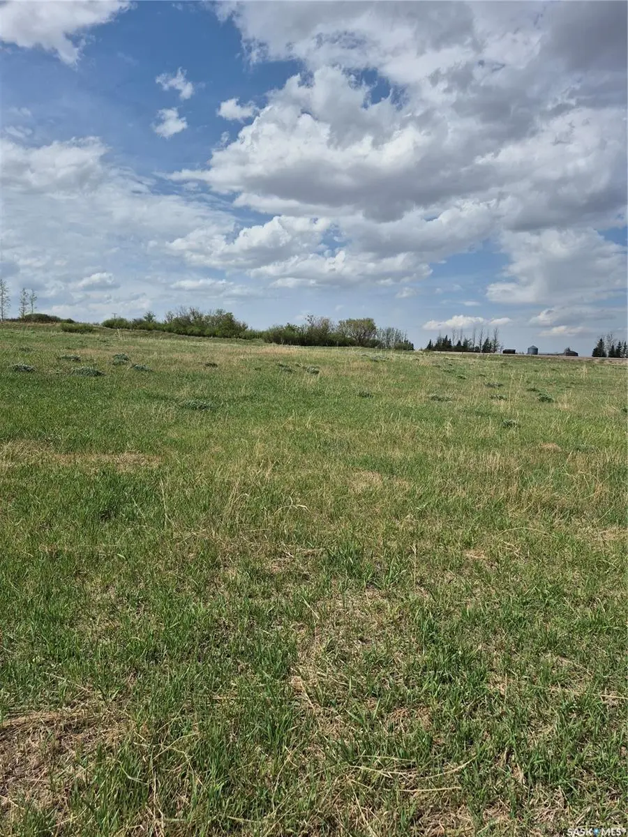 Rural Address, Blucher Rm No. 343, SK S7K 1X5